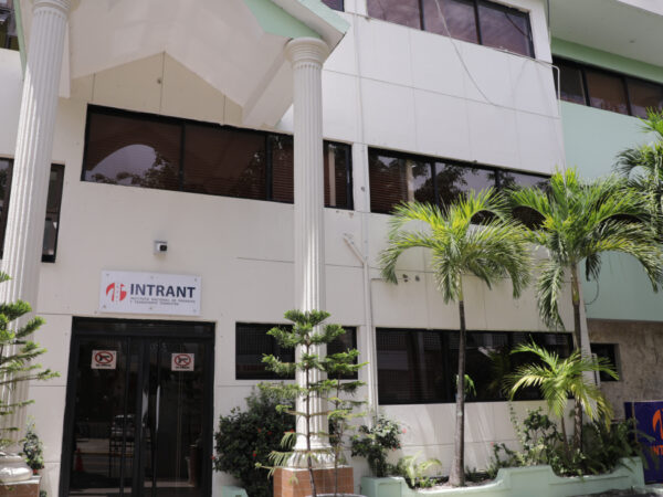 Intrant regula remolques, semirremolques y buggies de fabricación local