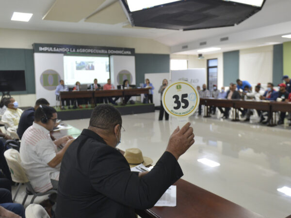 Aduanas recauda más de RD 106 millones en subastas públicas durante 2022