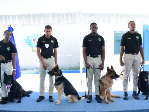 CESAC pone en retiro dos ejemplares caninos