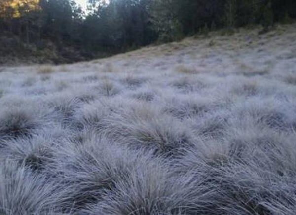Abrigarse a partir de hoy lunes el paìs estarà bajo la incidencia de un frente frìo invernal