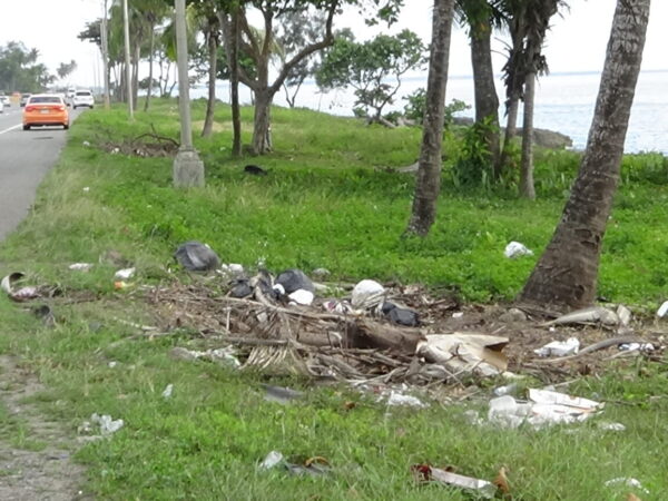 Descuido y abandono se observa en el trayecto de la Autopista Las Amèricas