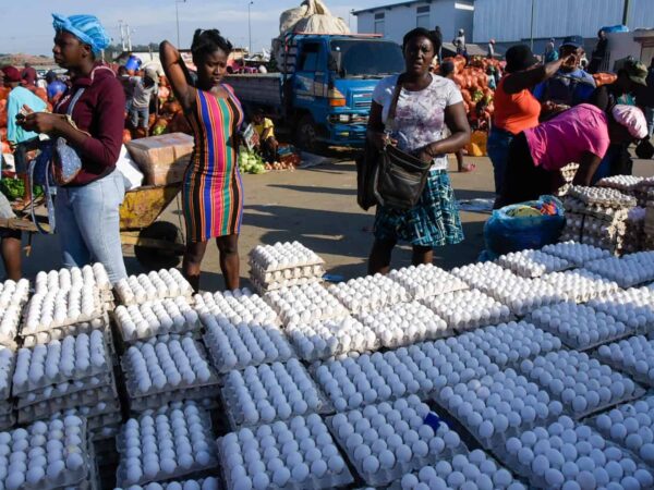Cientos de haitianos se abastecen de huevos en Dejabòn antes de cumplirse la prohibiciòn