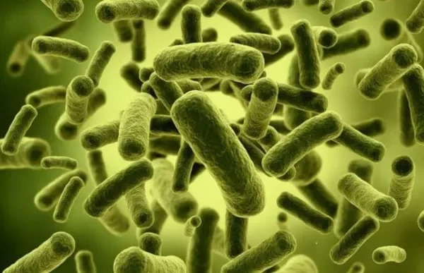 Salud Pùblica notifica este mièrcoles seis nuevos casos de còlera en el paìs.