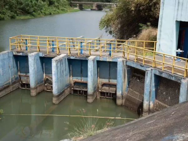 Presidente Luis Abinader considera crìtica la sequìa que afecta a Repùblica Dominiana