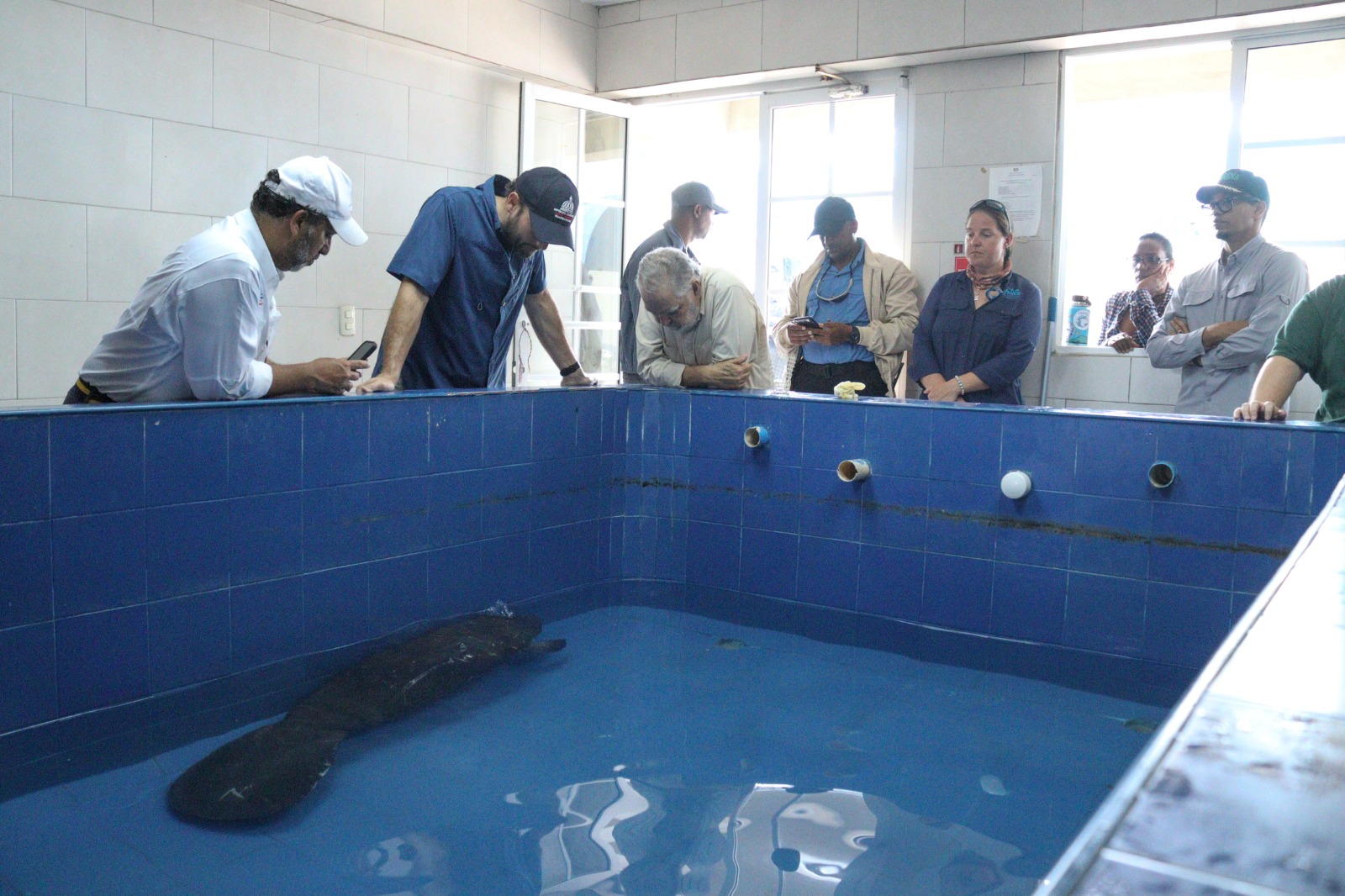 Ceara Hattòn confìa que el manati Jean Pedro pueda deasarrollar sus condiciones aducuadas
