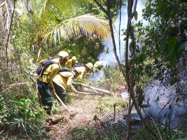 Ministerio de Medio Ambiente sofoca incendio en el parque Cabo Cabròn en Samanà