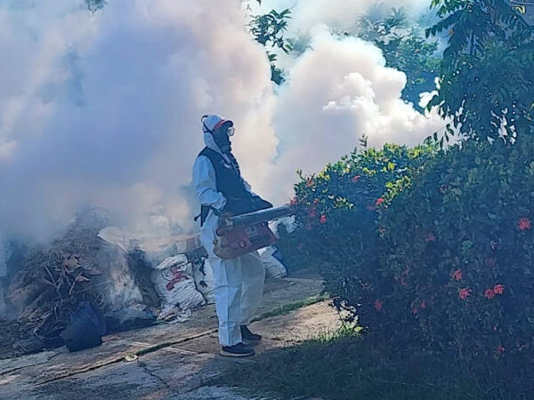 Salud Pública se mantiene vigilante ante aumento de casos de dengue