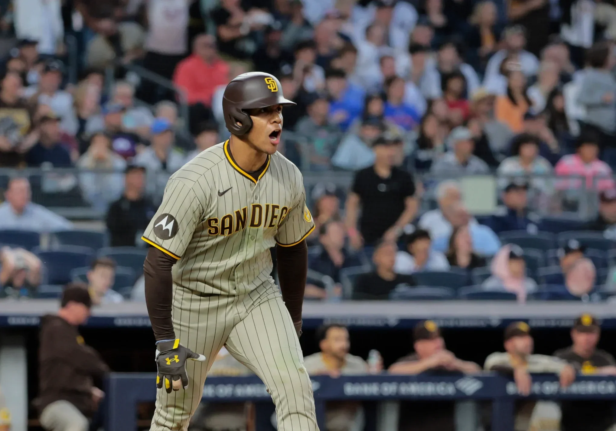 Juan Soto uno de los principales jugadores a ser cambiado de equipo en el invierno