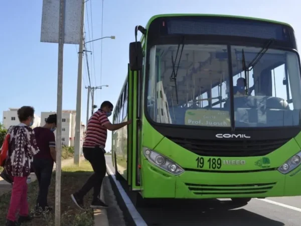Gobierno busca convertir la OMSA en una empresa pùblica