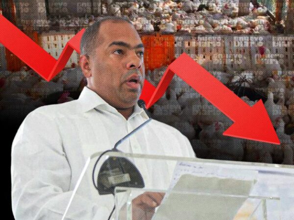 Productor avìcula denuncia una dura escasez de pollos en Moca