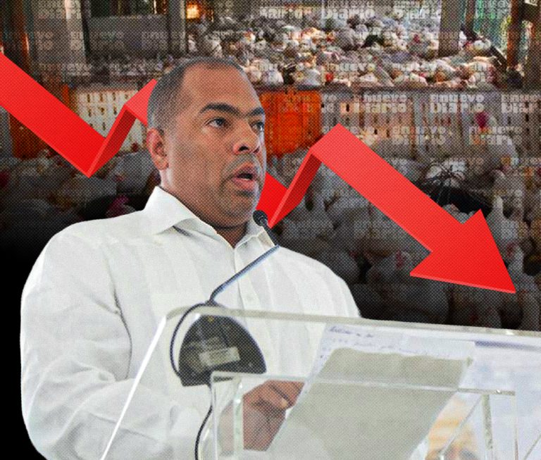 Productor avìcula denuncia una dura escasez de pollos en Moca