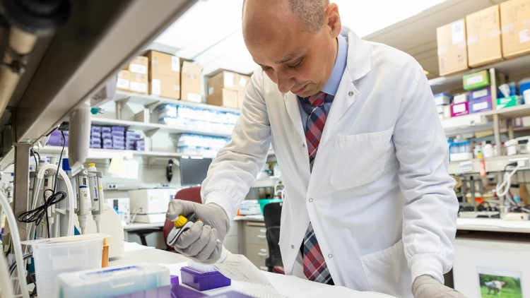 Investigaciòn revela por què pacientes de càncer son recurrentes a la enfermedad despuès de la terapia