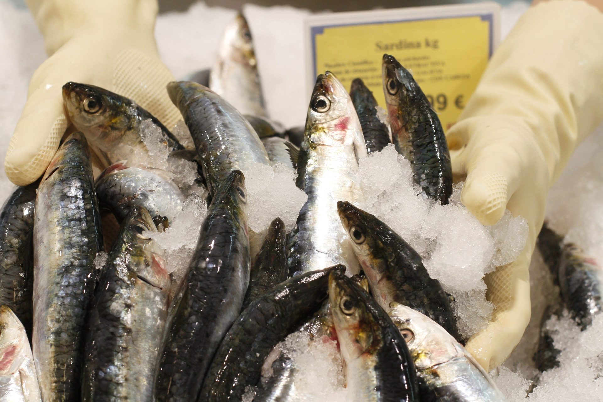 Mercurio en el pescado pone en peligro a màs de 20 millones de personas en el mundo