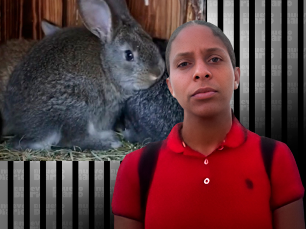 Hombre va al cuartel de la Policìa a llevar un conejo en Moca y lo dejan preso dice su mujer