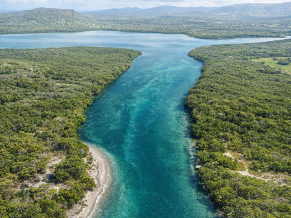 Repùblica Dominicana presenta informe Bienal de Transparencia ante las Naciones Unidadas