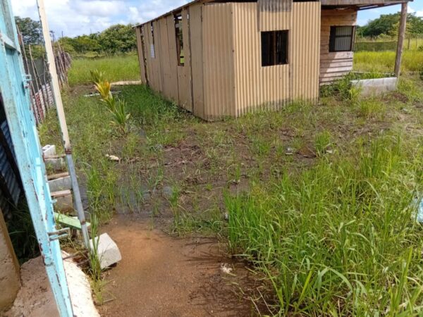 Comerciante denuncia hijo de la directora de Inaipi encabeza grupo de invasores en terrenos de su propiedad