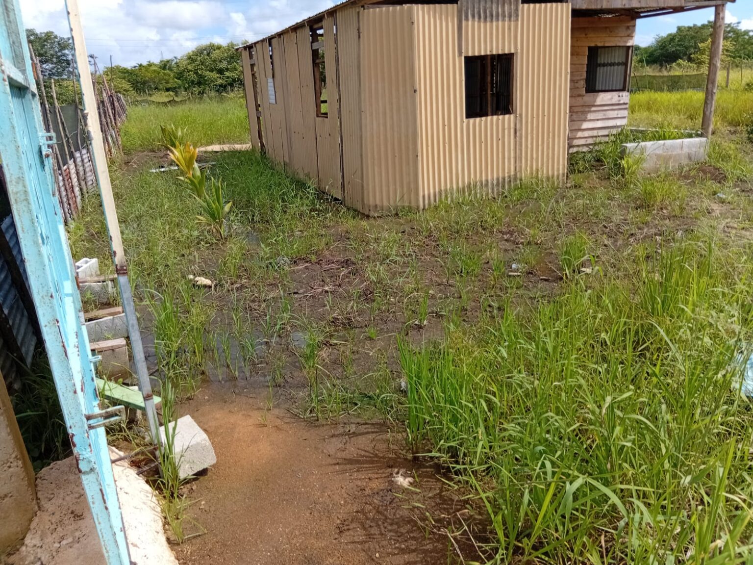 Comerciante denuncia hijo de la directora de Inaipi encabeza grupo de invasores en terrenos de su propiedad