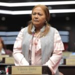 PLD designa a diputada Idenia Doñé como nueva vocera en el bloque de la Cámara de Diputados
